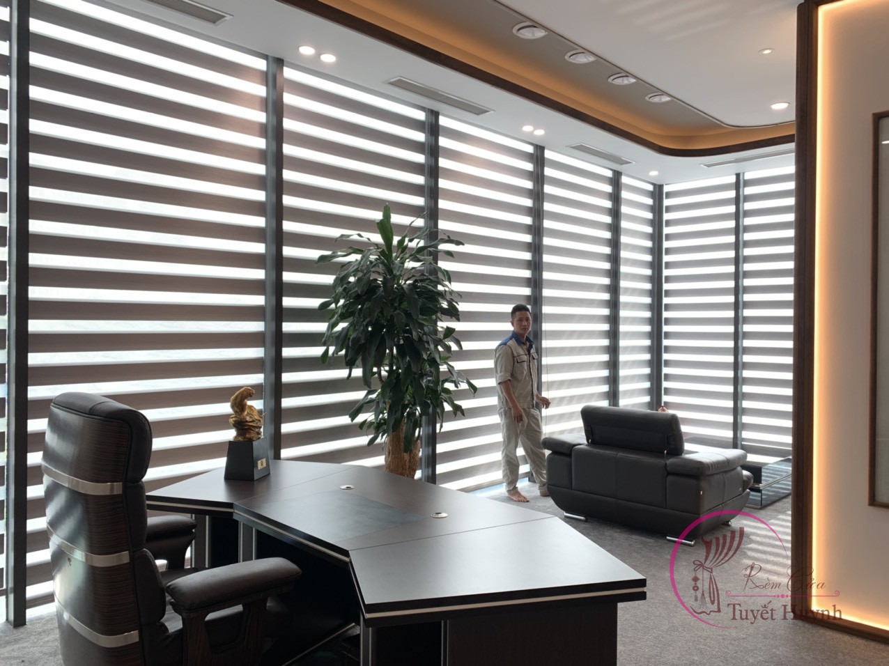 Rèm cầu vồng văn phòng