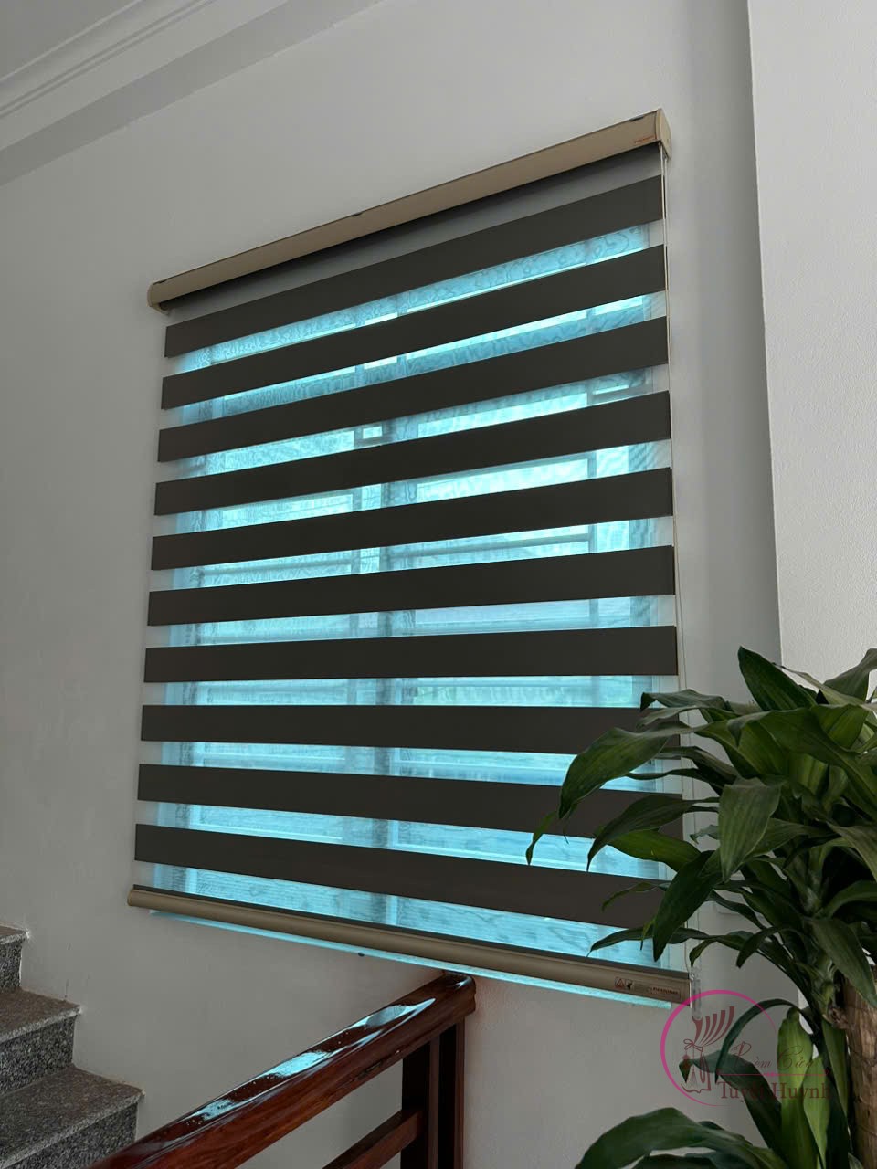 Rèm cầu vồng Hàn Quốc TH2-112 - Hình ảnh 3