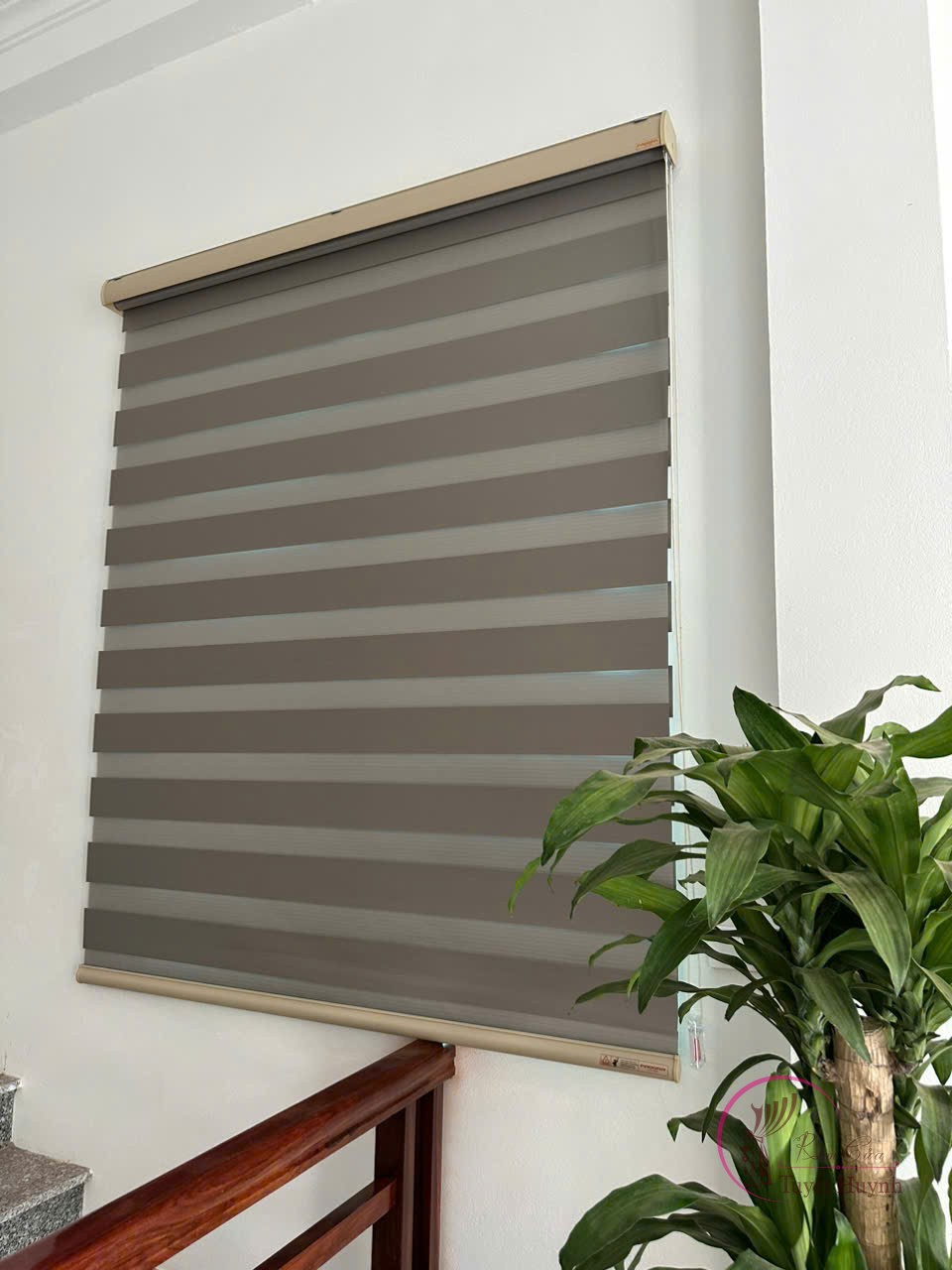 Rèm cầu vồng Hàn Quốc TH2-112 - Hình ảnh 4