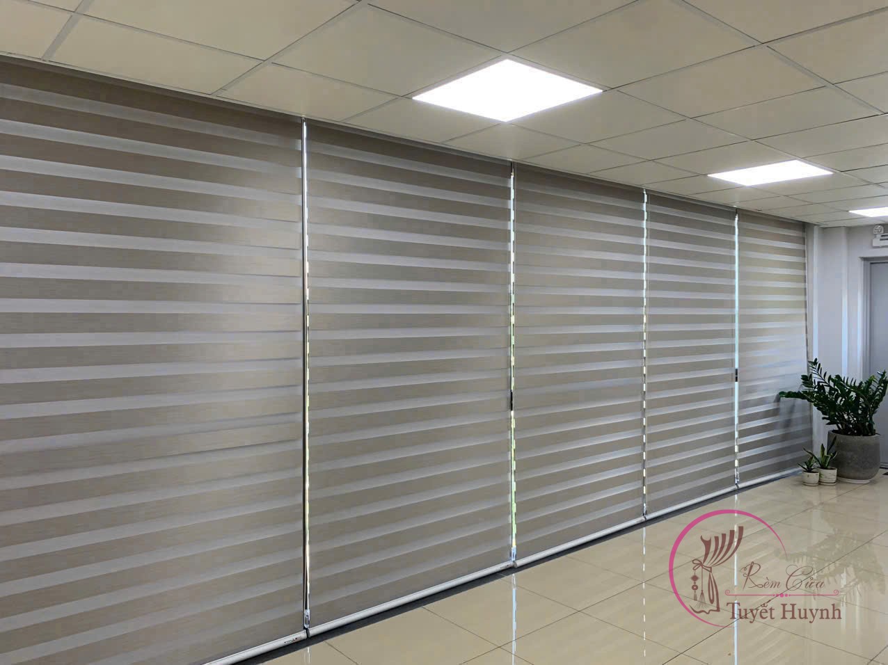 Rèm cầu vồng Hàn Quốc TH2-113 - Hình ảnh 10