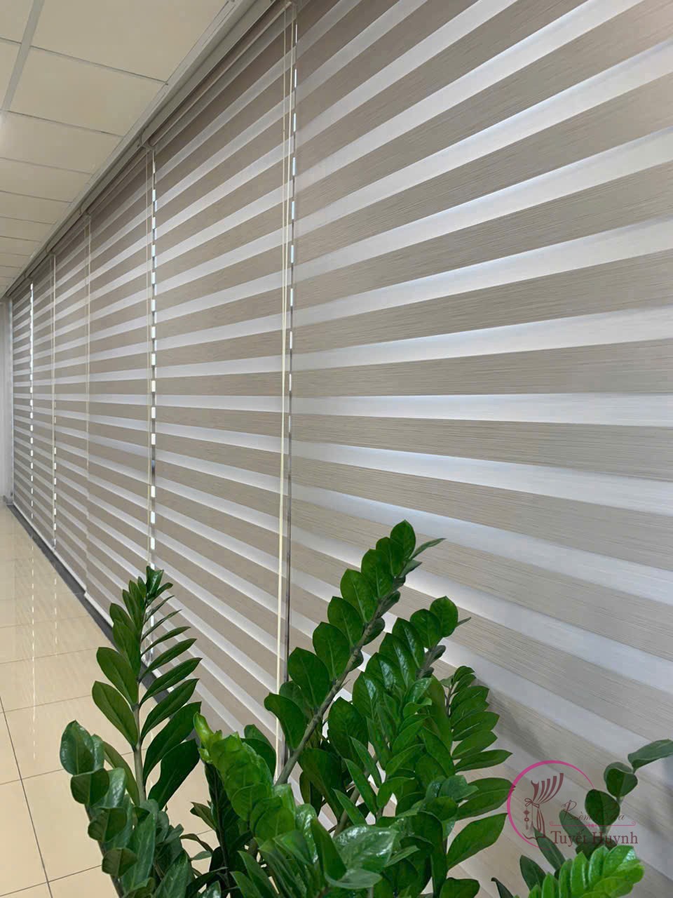 Rèm cầu vồng Hàn Quốc TH2-113 - Hình ảnh 11