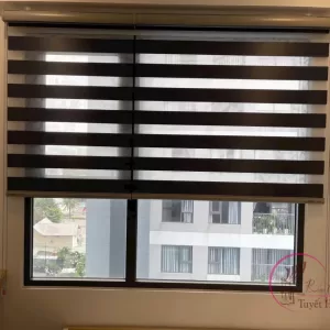 Rèm cầu vồng Hàn Quốc